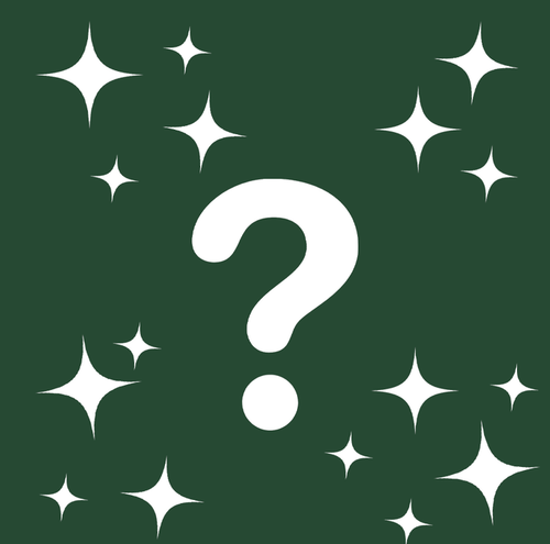 $10 Mystery Unisex Tee