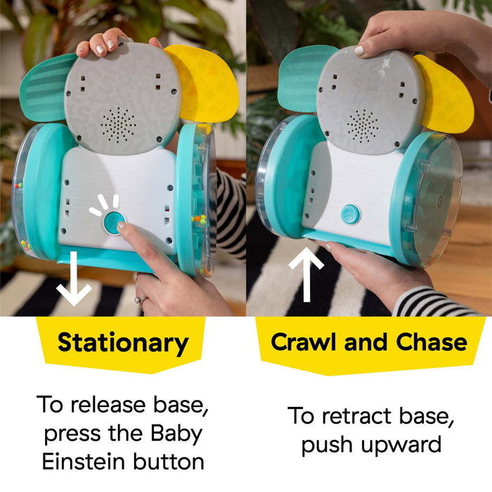 Baby Einstein Chase & Tap Earl interactive elephant toy with stationary and crawling modes for baby development
