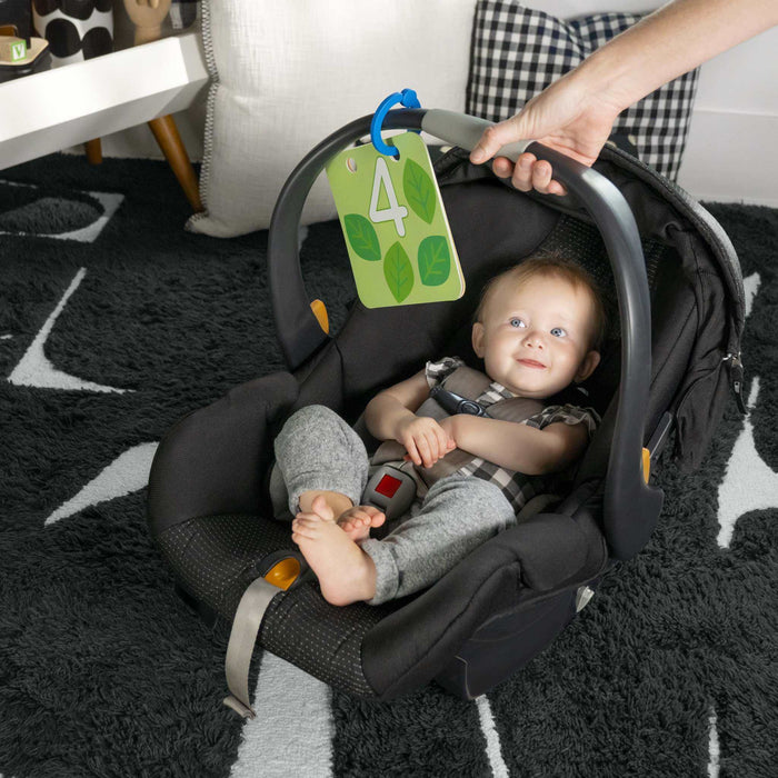 Baby Einstein Discovery Garden Tummy Time Mat with mirror, toys, and educational flashcards for infants