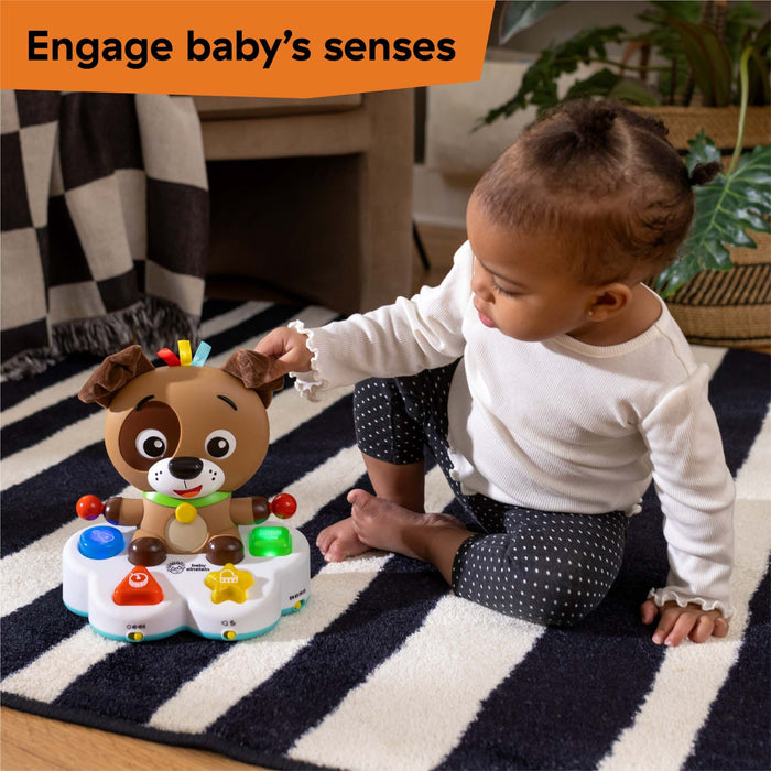 Baby Einstein Drum & Learn Dean interactive musical learning toy for infants with lights and sounds