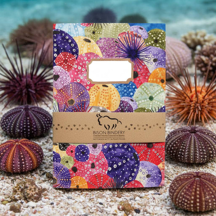 Forager Provisions LTD Bison Bindery A5 recycled notepad with colourful sea urchin illustration on a beach background