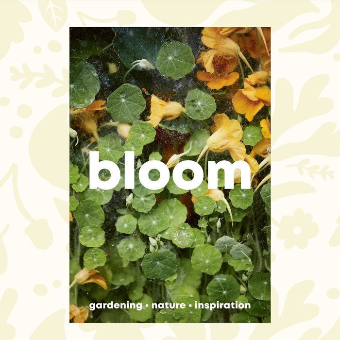Close-up of green leaves and yellow flowers with the word "Bloom Zine Issue 15 Autumn/Winter 2023" written in bold white text. Below, it says "zero-waste garden • nature • inspiration".