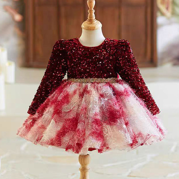 Burgundy Girl Dress for Kids Party Ball Gown J721