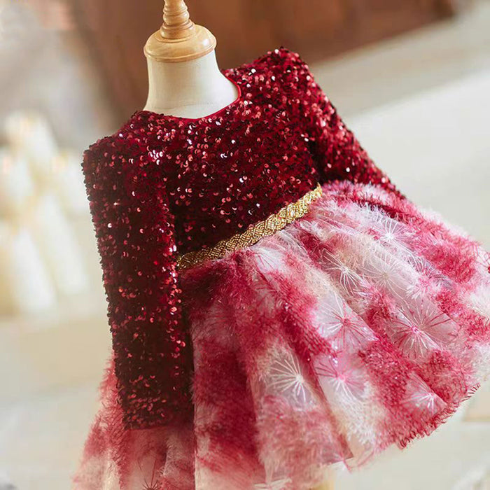 Burgundy Girl Dress for Kids Party Ball Gown J721