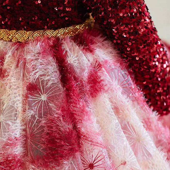 Burgundy Girl Dress for Kids Party Ball Gown J721