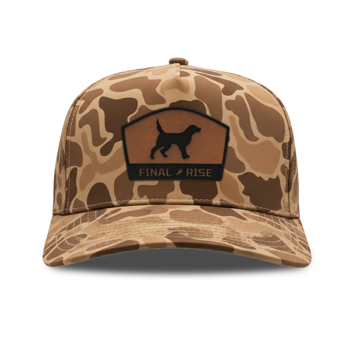 Brown Camo / English Setter