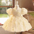 Champagne Tulle Girl Dress with 3D Flowers Toddler Kids 1st Birthday Gown J769