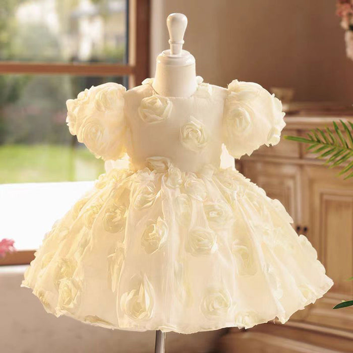 Champagne Tulle Girl Dress with 3D Flowers Toddler Kids 1st Birthday Gown J769