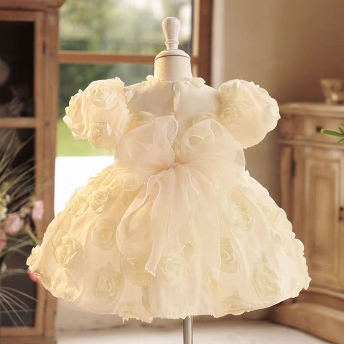 Champagne Tulle Girl Dress with 3D Flowers Toddler Kids 1st Birthday Gown J769