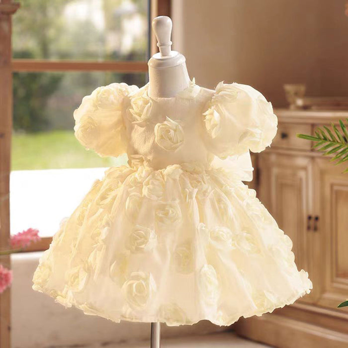 Champagne Tulle Girl Dress with 3D Flowers Toddler Kids 1st Birthday Gown J769