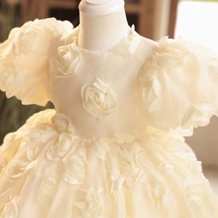 Champagne Tulle Girl Dress with 3D Flowers Toddler Kids 1st Birthday Gown J769