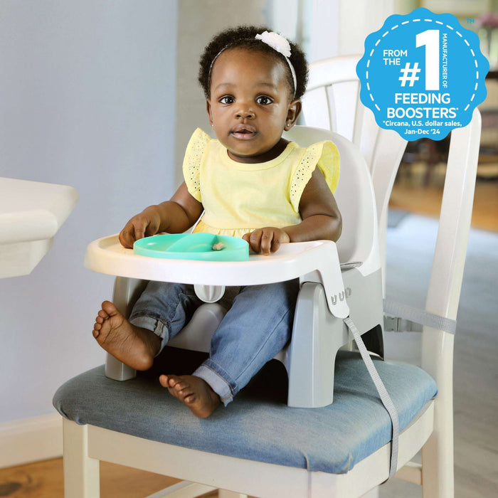 Ingenuity Deluxe Learn-to-Dine Feeding Seat with lock-in Twist & Dine plates and 3-point harness for infants and toddlers