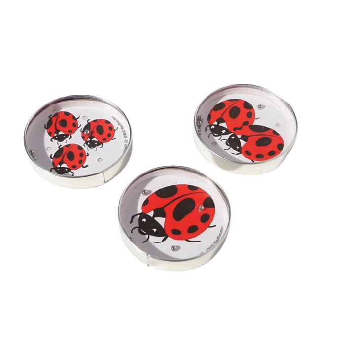 Three small circular containers with red ladybug illustrations on white backgrounds, placed on a white surface, call out to puzzle enthusiasts. One of them cleverly holds a hidden Die Blechfabrik e.K Ladybird Puzzle Ball Maze (Random) game inside.
