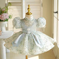 Elegant Green Flower Girl Dress Princess Kids 1st Birthday J786