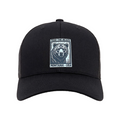 Feed the Bears Snapback