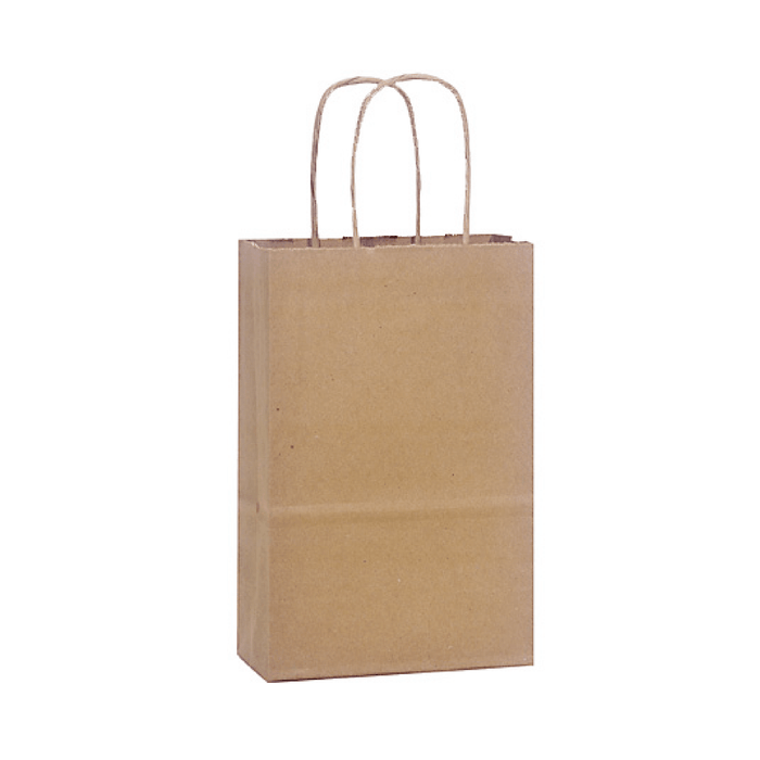 Gift Bags with Handles, Kraft Favor Bags . Rose Size Shopping Bags 5-1/4" x 3-1/2" x 8-1/4" - Scrap Bits