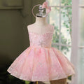 Glamorous Pink Girl Dress Birthday Wedding Holiday Party J737