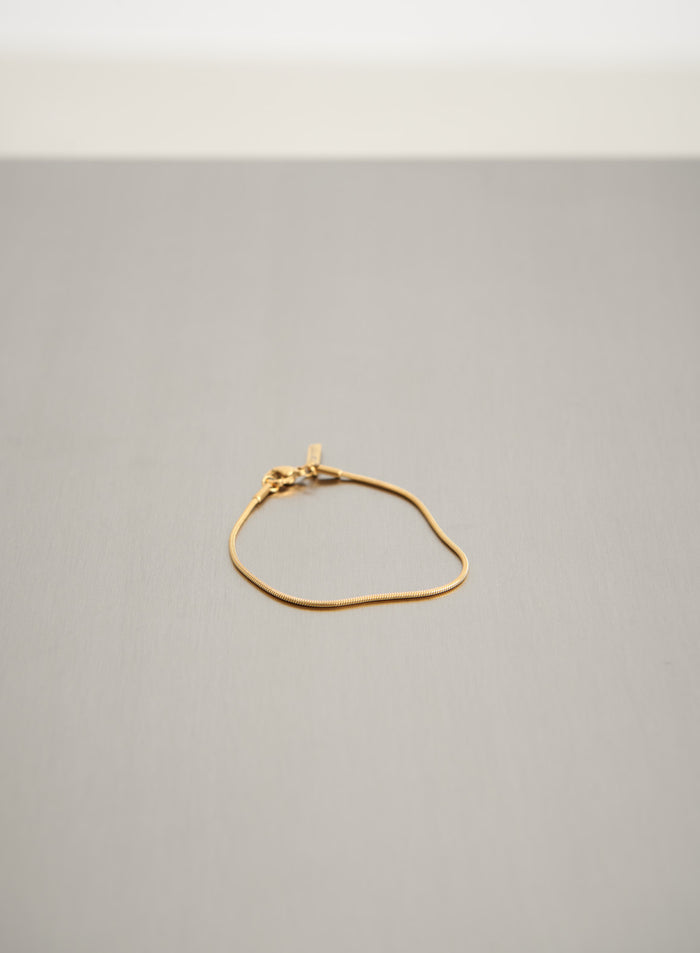 Gold Waterproof Snake Chain Bracelet