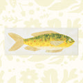 Hadley Cheery Fish Greeting Card by Hadley Paper Goods features a vibrant yellow-green fish on eco-friendly recycled card stock.