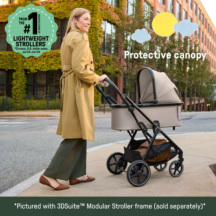 Ingenuity 3DSuite DualDock Carry Cot  Portable Baby Bassinet for Overnight Sleep (with Stand Only) & Stroller Carry Cot - Cashew