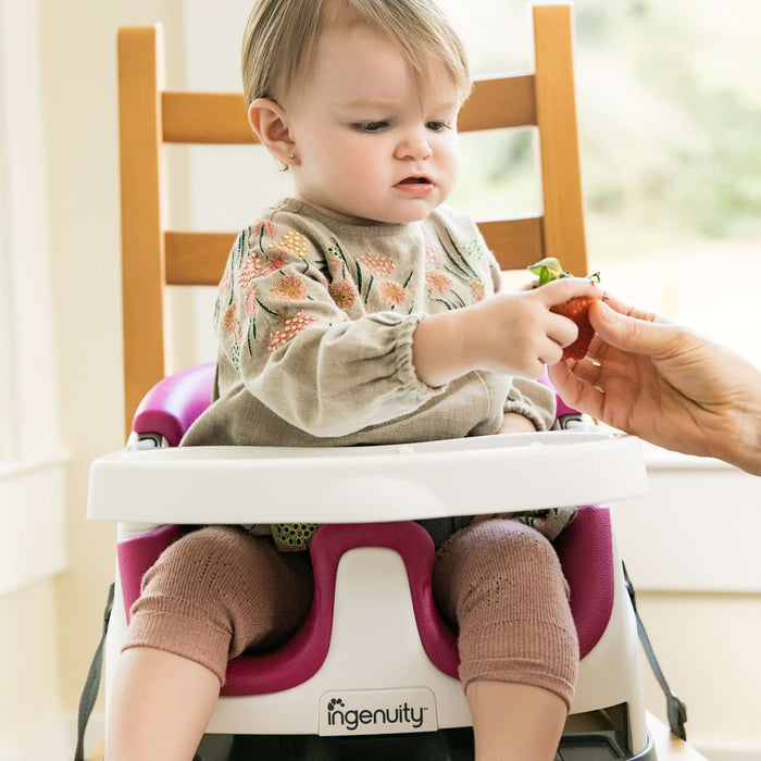 Pink Ingenuity Baby Base 2-in-1 Booster Seat attached to dining chair with removable tray