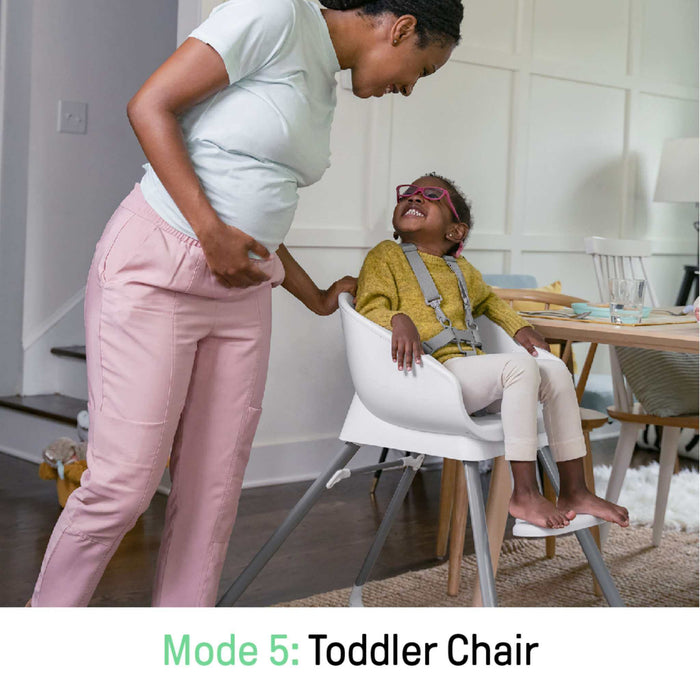 Ingenuity Beanstalk Baby to Big Kid 6-in-1 High Chair in Ray color for newborns to 5 years