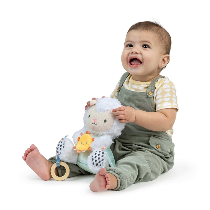 Ingenuity Calm Springs Plush Activity Pal  Sheppy