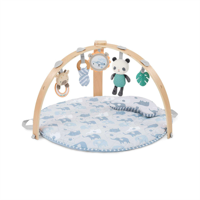 Ingenuity Cozy Spot Duvet Activity Gym with Self-Storage - Elephant March