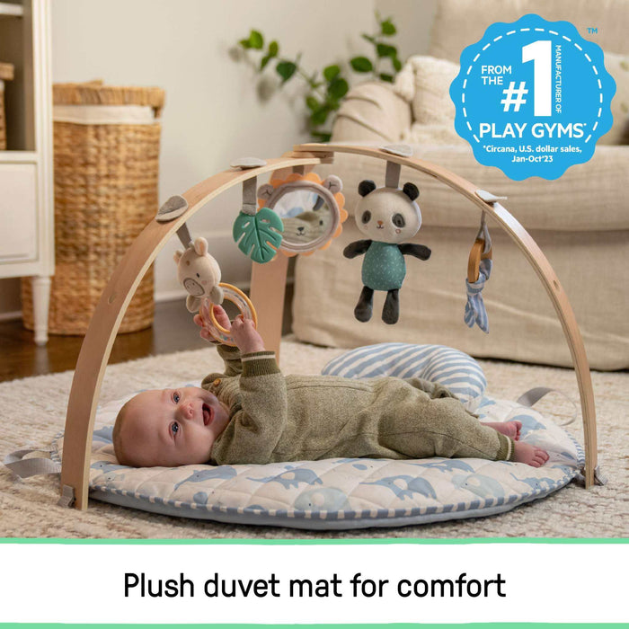 Ingenuity Cozy Spot Duvet Activity Gym with Self-Storage - Elephant March