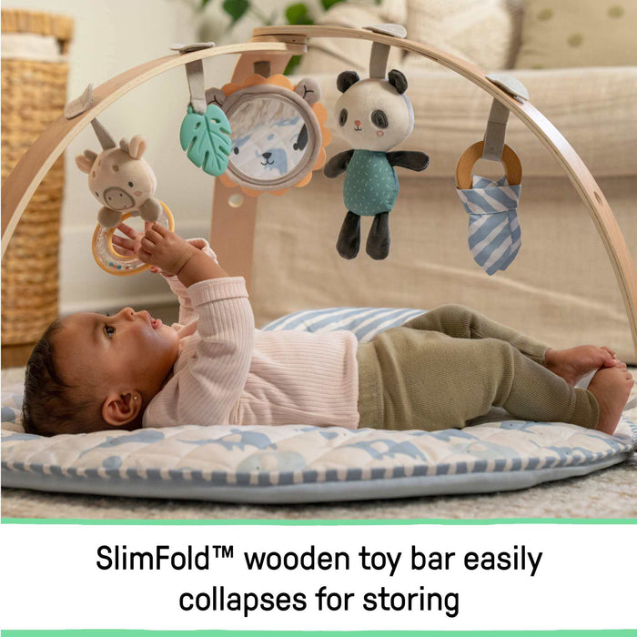 Ingenuity Cozy Spot Duvet Activity Gym with Self-Storage - Elephant March