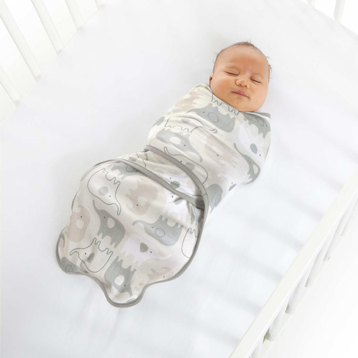 Ingenuity Farewell Fuss Adjustable Easy-Wrap 2-pk Baby Swaddle Set - Grazer