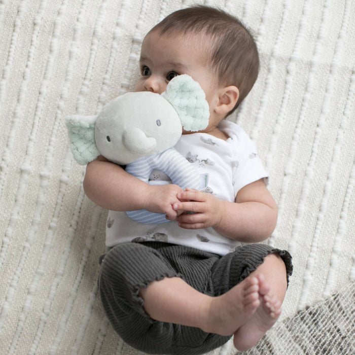 Ingenuity Premium Soft Plush Van the Elephant ring rattle for infants with gentle rattle sound and soft fabric
