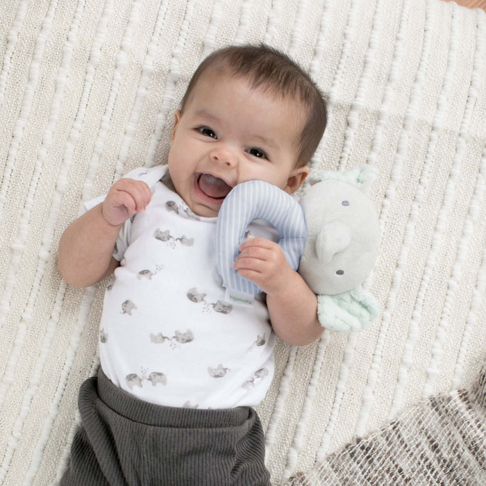 Ingenuity Premium Soft Plush Van the Elephant ring rattle for babies