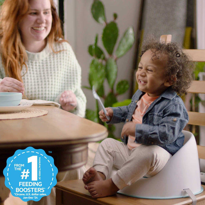 Ingenuity Simplicity Seat Easy-Clean Baby Booster Seat - Teal