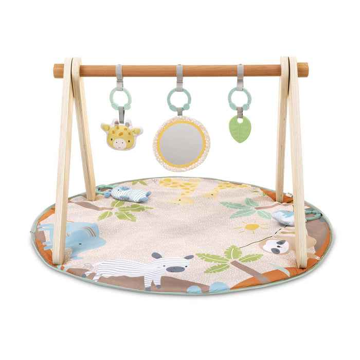 Ingenuity Wonder & Wood Wooden Toy Arch & Play Mat