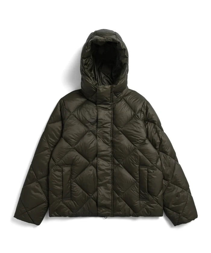 Olive / 6Y