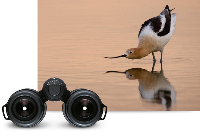 Leica ULTRAVID Binoculars 8x42HD-PLUS