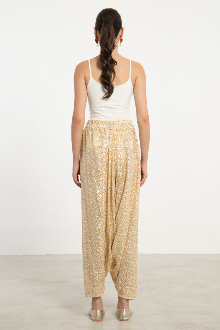 Lina Organza Sequins Embroidered Sirwal