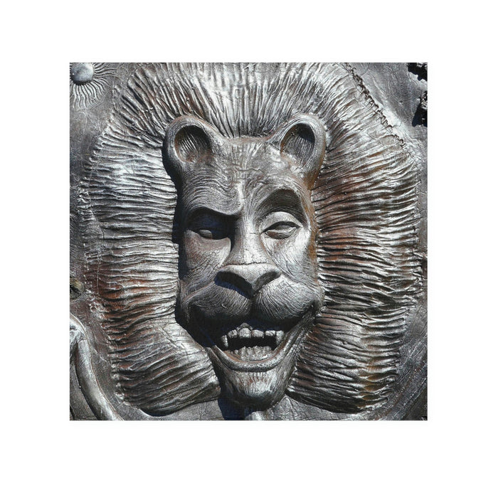 Lion's Friends Forever - Face Towel - Fry1Productions