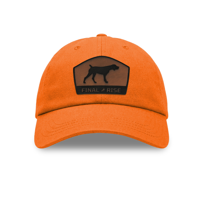 Orange Hat / German Shorthaired Pointer