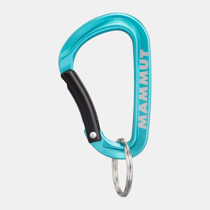 Mini Carabiner Classic Keylock Carabiner