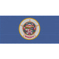 Minnesota State Flag