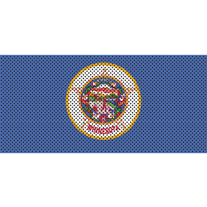 Minnesota State Flag