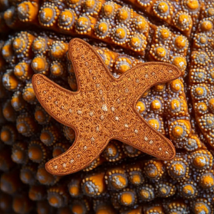 Mustard Beetle Ochre Sea Star Patch lies on textured orange-purple sea, featuring vivid circles and marine art patterns.