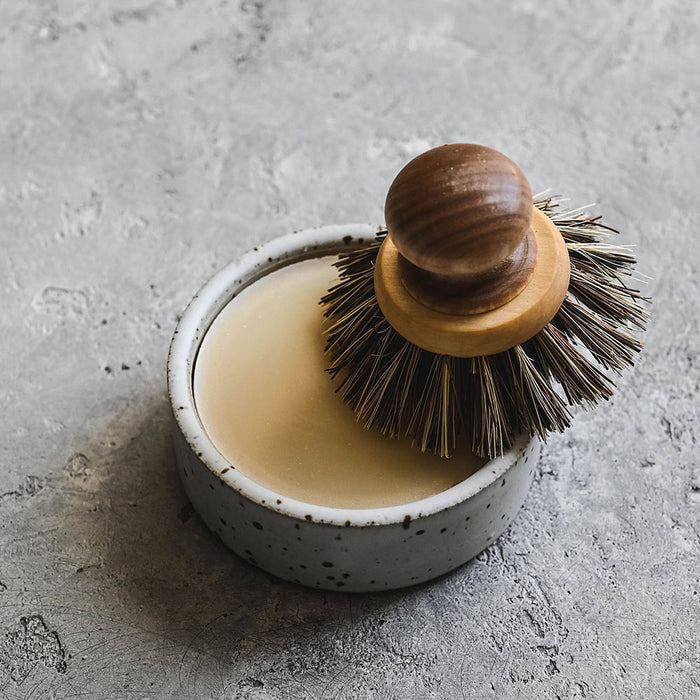 Natural Solid Dish Soap and Ceramic Dish
