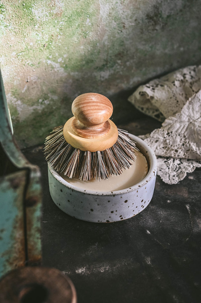 Natural Solid Dish Soap and Ceramic Dish