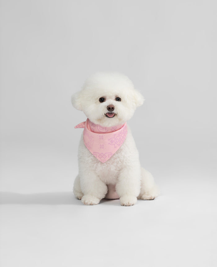 Pet Triangle Scarf (Pink)