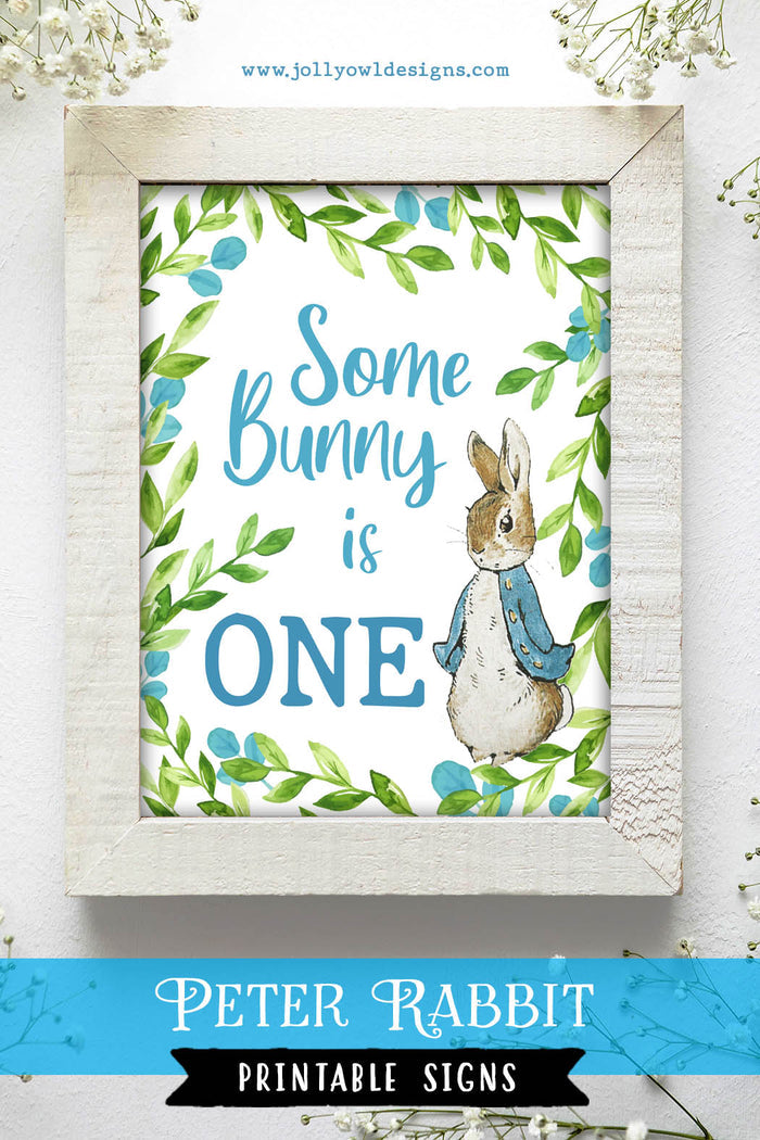 Peter Rabbit Birthday Party Signs - Somebunny Is One