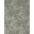 Promaster CLOUD DYED BKDRP-10'-LT GREY