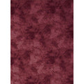 Promaster CLOUD DYED BKDRP-12'-RED